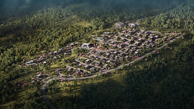 Lisi City View