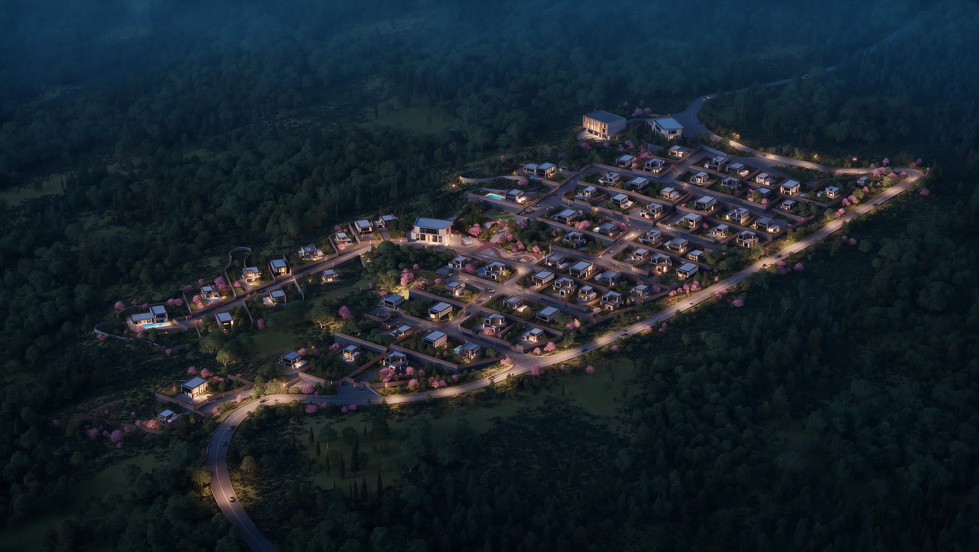Lisi City View — 15